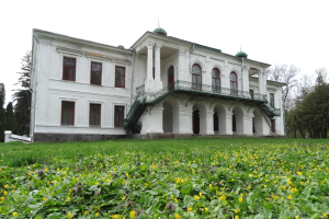 Дворец Закревских, Березовая Рудка